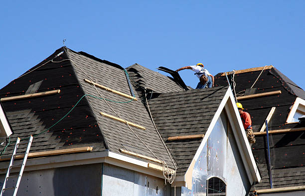 Best Roof Gutter Cleaning  in North Lima, OH