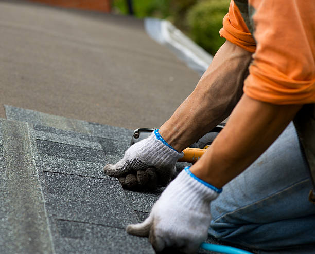 Best Roof Maintenance Services  in North Lima, OH