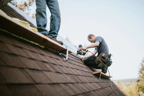 Professional Roofing Contractor in North Lima, OH