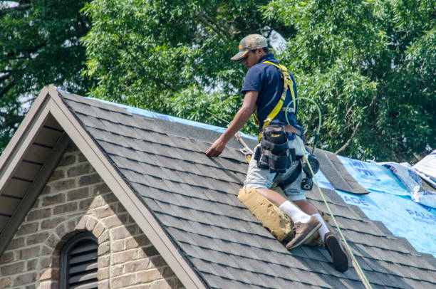 Best Roof Leak Repair  in North Lima, OH